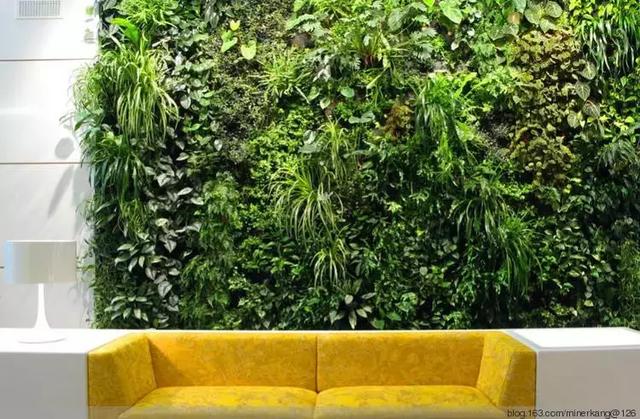 詳解一下立體植物墻的類(lèi)型有哪些