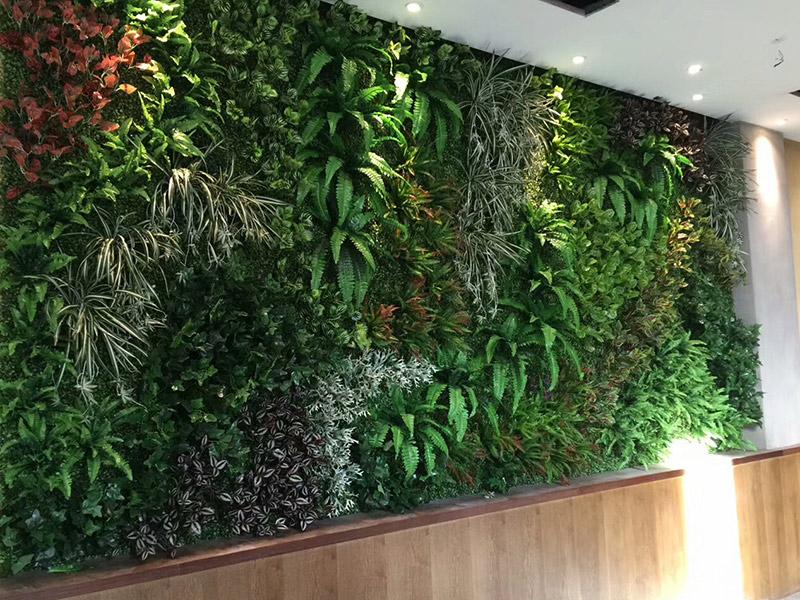 植物動(dòng)態(tài)變化--植物墻設(shè)計(jì)參考的重要因素