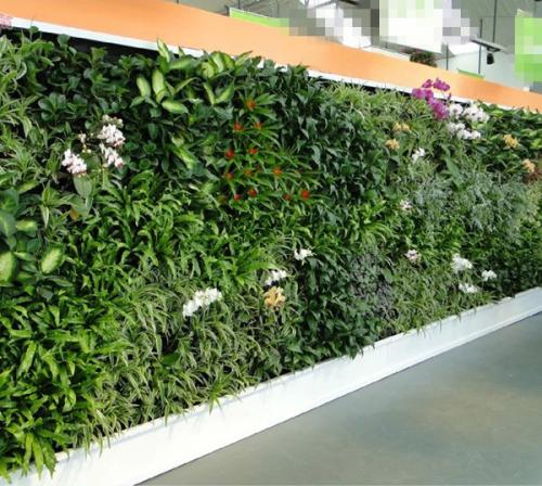 植物墻的規(guī)劃及運(yùn)用有用削減隱形本錢(qián)更耐久的美化作用