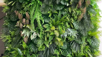 重慶仿真植物推薦地點